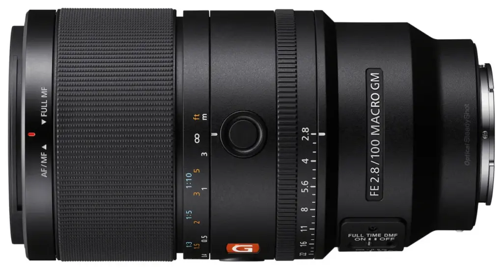 Noleggio Sony FE 100mm Macro GM OSS