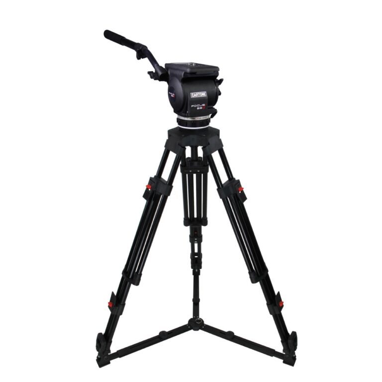 Cartoni Focus 22 con Gambe Standard