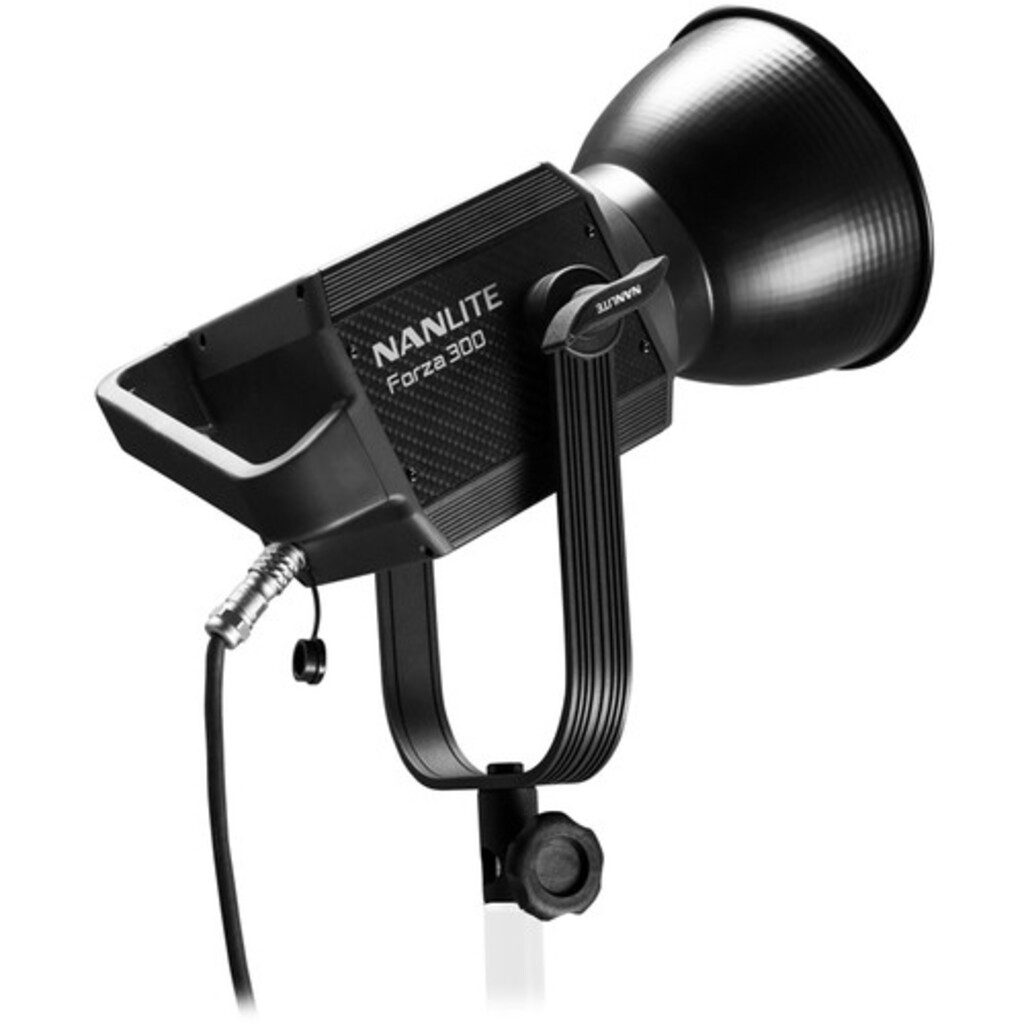Noleggio Nanlite Forza 300
