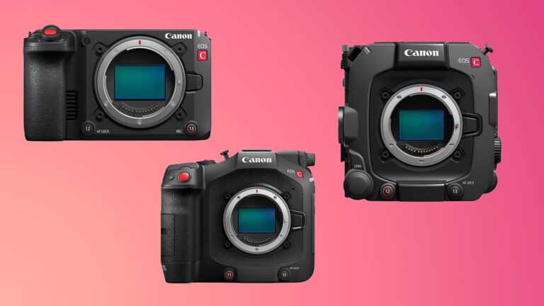 Canon aggiorna C50, C80 e C400: controllo USB-C e SRT più solido